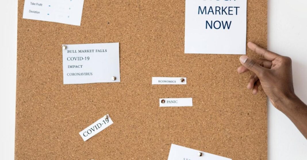 Cena rzepaku kosów Lacki – analiza wpływu sezonu na ceny