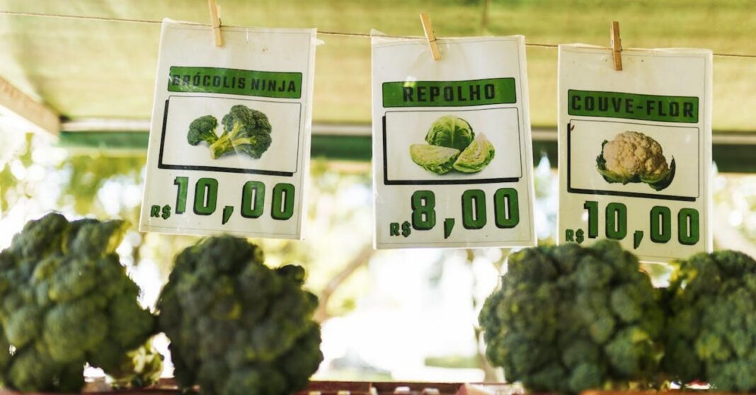 Kapusta cena – aktualne średnie wartości z lokalnych targów